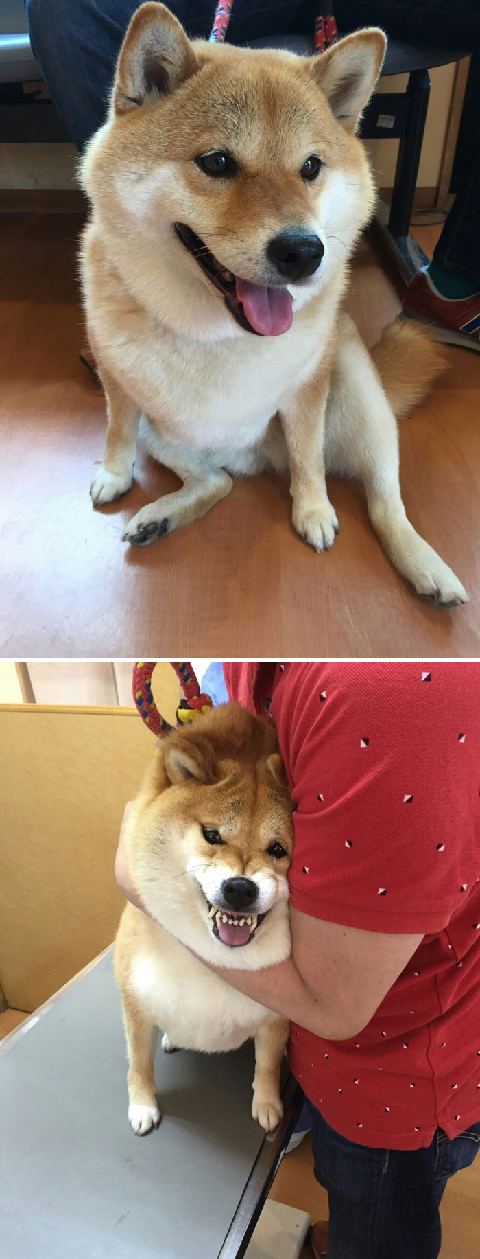 I Can Be Your Angle…. Or Yuor Devil