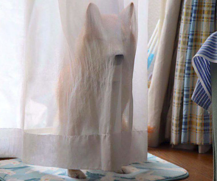 I Managed To Capture A Scary Ghost Sighting