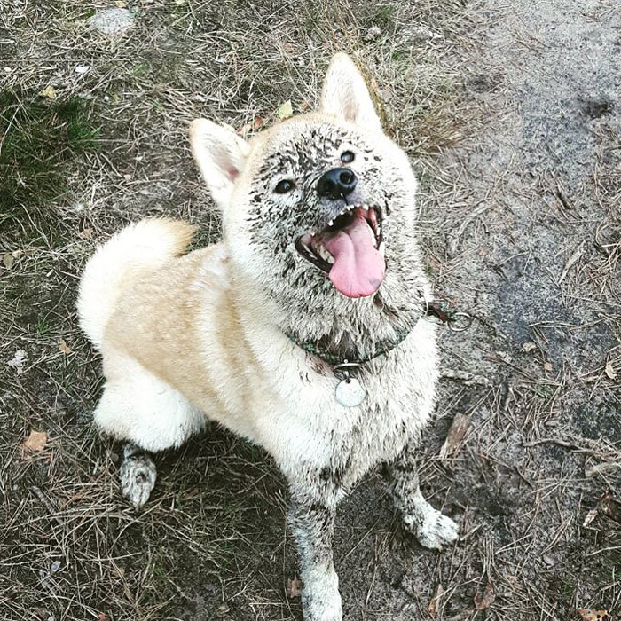 Dirty Boy
