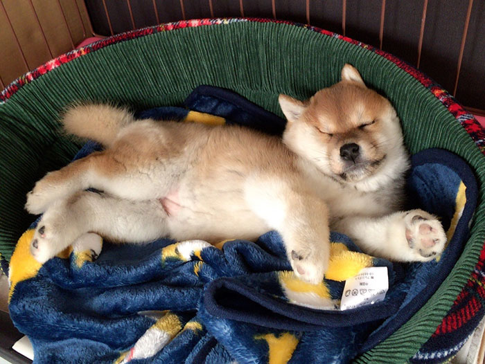 Comfortable Sleeping