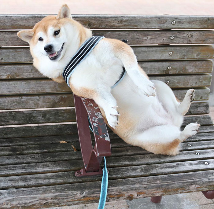 Is This Bench Supposed To Be Uncomfortable Or Am I Using It Wrong?