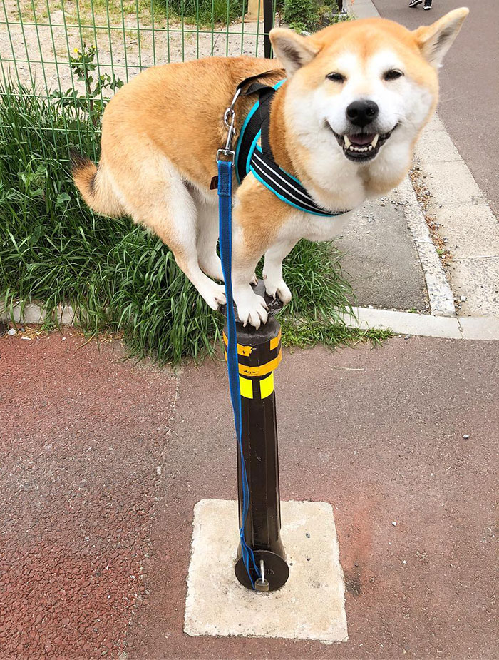 I Don’t Give A Hoot. That’s Tiny Things What I See Now