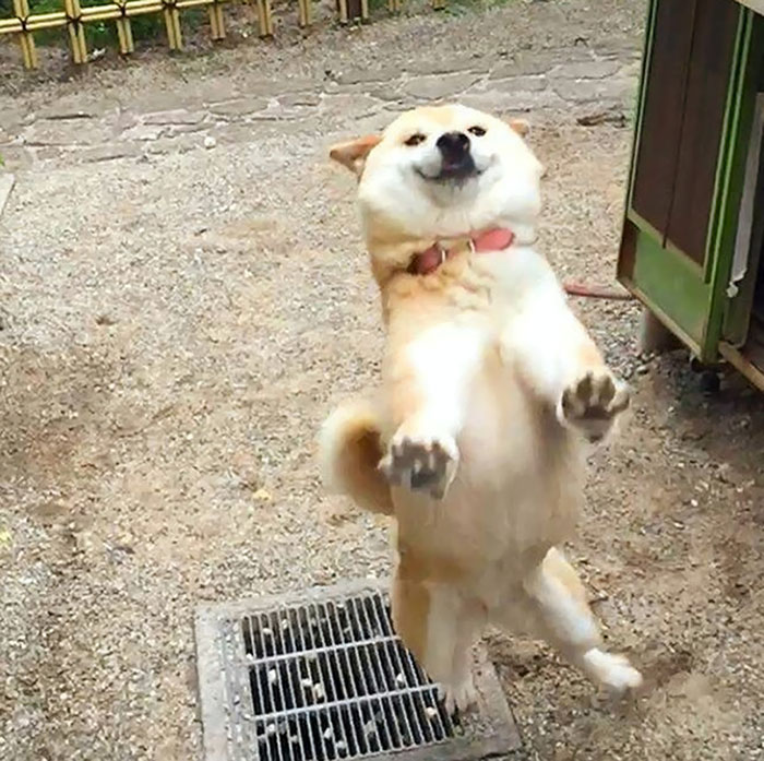 How Your Girl Looks When She Walks Out The Salon With Some Fresh Nails