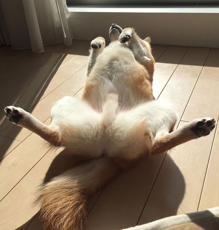 Trying To Get A Pre-Summer Tan