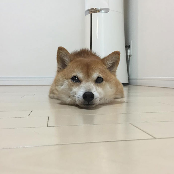 I Lost My Body Again