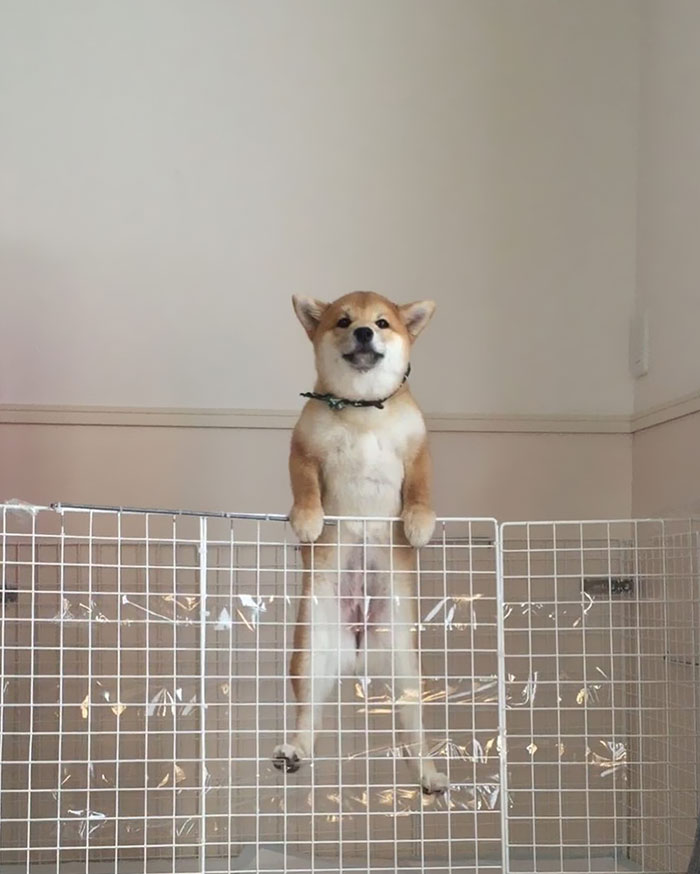 "Go Against The Grain, Don't Let Them Hold You Down"