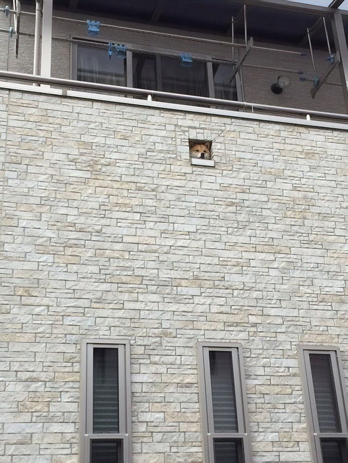 All In All You're Just Another Bork In The Wall