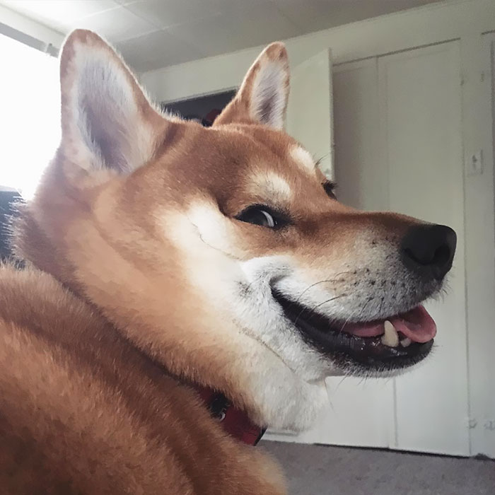 Exceptionally Goofy Or Awkward In Nature, But In An Endearing And Lovable Way