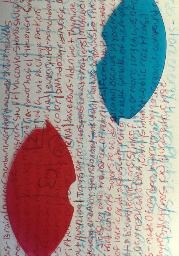 Told My Students They Could Use A 3" X 5" Notecard For The Final Exam