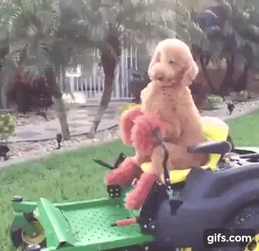 I Challenge You To A Staring Contest With My Comics!