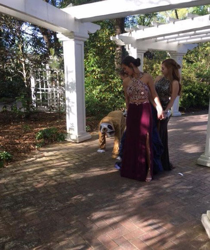 The Way This Girl Handled Her Date Not Showing Up For Prom Is Hilarious