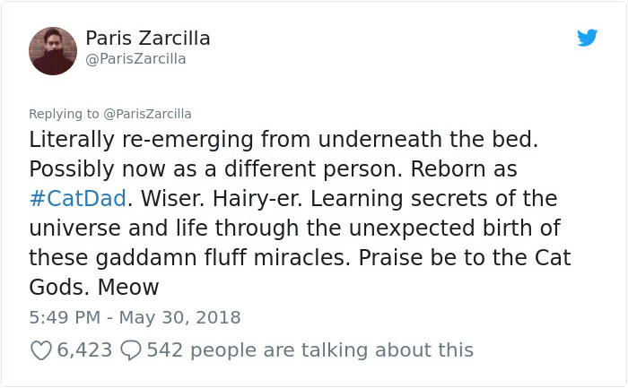 Guy Goes To His Bedroom To Grab A Sweater, Finds A Cat That Just Gave Birth Instead, And The Cat Isn't Even His Guy Goes To His Bedroom To Grab A Sweater, Finds A Cat That Just Gave Birth Instead, And The Cat Isn't Even His