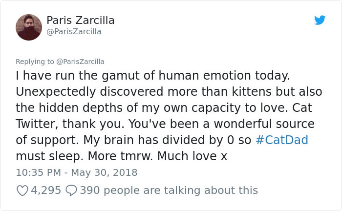 Guy Goes To His Bedroom To Grab A Sweater, Finds A Cat That Just Gave Birth Instead, And The Cat Isn't Even His Guy Goes To His Bedroom To Grab A Sweater, Finds A Cat That Just Gave Birth Instead, And The Cat Isn't Even His
