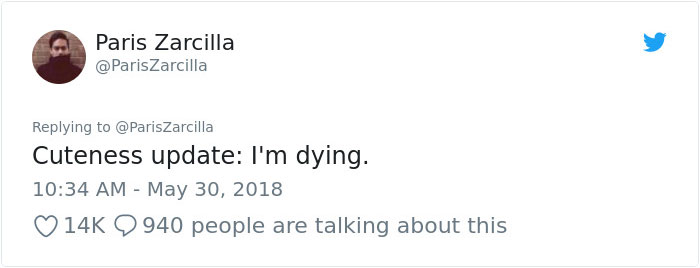 Guy Goes To His Bedroom To Grab A Sweater, Finds A Cat That Just Gave Birth Instead, And The Cat Isn't Even His Guy Goes To His Bedroom To Grab A Sweater, Finds A Cat That Just Gave Birth Instead, And The Cat Isn't Even His