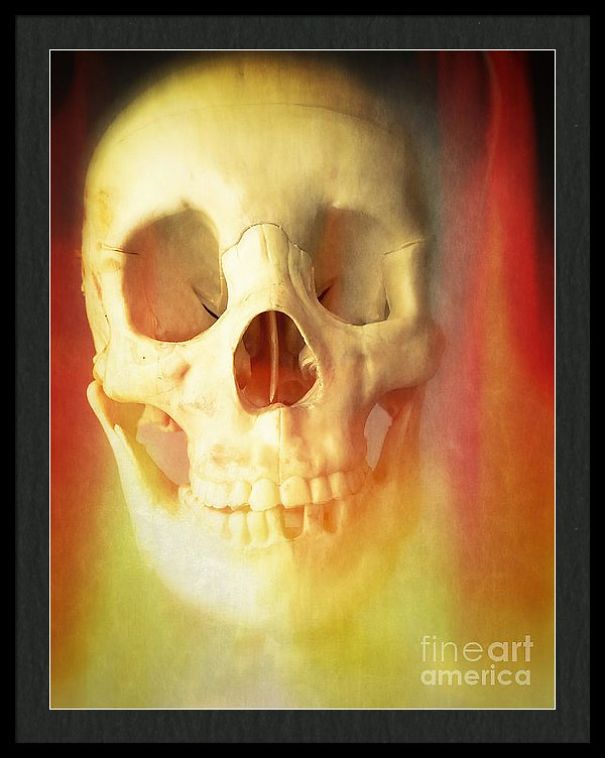 I Create Art Out Of Human Skulls I Create Art Out Of Human Skulls