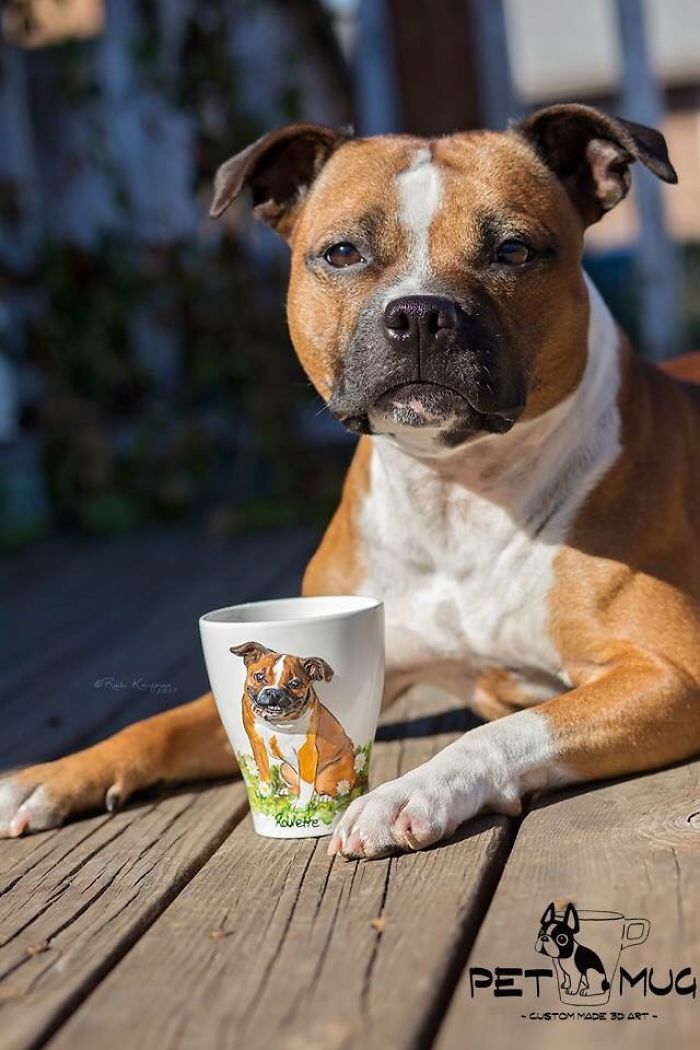 I Create Custom 3d Pets On Mugs | Handmade