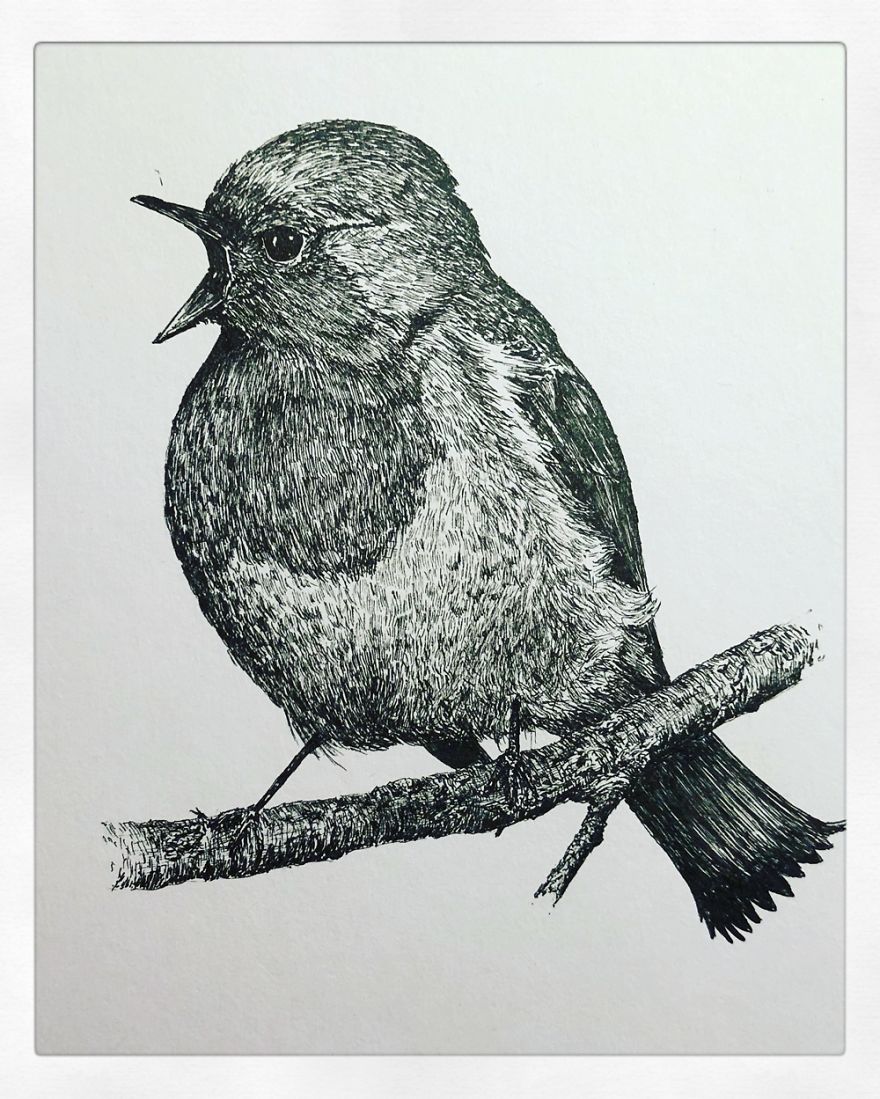 Birds By Bas Geeraets Birds By Bas Geeraets