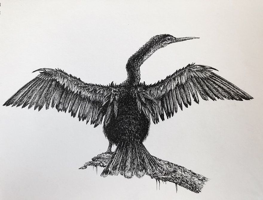 Birds By Bas Geeraets Birds By Bas Geeraets