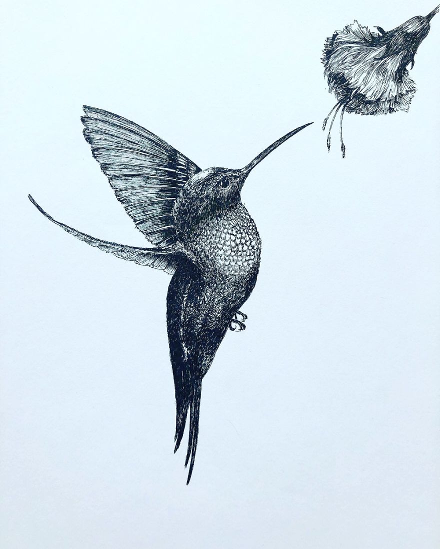 Birds By Bas Geeraets Birds By Bas Geeraets