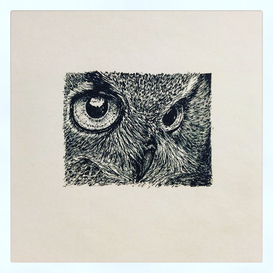 Birds By Bas Geeraets Birds By Bas Geeraets