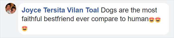 This Dog Spends 12 Hours Every Day Looking Towards The Station, Proves We Do Not Deserve Dogs