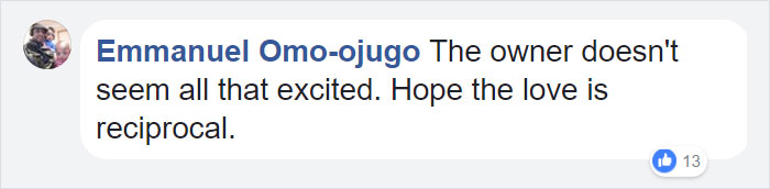 This Dog Spends 12 Hours Every Day Looking Towards The Station, Proves We Do Not Deserve Dogs
