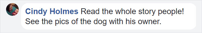 This Dog Spends 12 Hours Every Day Looking Towards The Station, Proves We Do Not Deserve Dogs This Dog Spends 12 Hours Every Day Looking Towards The Station, Proves We Do Not Deserve Dogs
