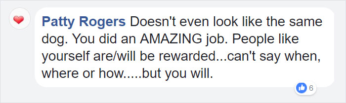 This Husky Was Found So Malnourished She Looked Like A Skeleton, 10 Months Later She's Unrecognizable This Husky Was Found So Malnourished She Looked Like A Skeleton, 10 Months Later She's Unrecognizable
