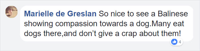 This Husky Was Found So Malnourished She Looked Like A Skeleton, 10 Months Later She's Unrecognizable This Husky Was Found So Malnourished She Looked Like A Skeleton, 10 Months Later She's Unrecognizable