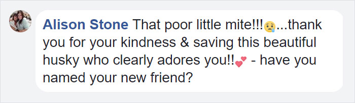 This Husky Was Found So Malnourished She Looked Like A Skeleton, 10 Months Later She's Unrecognizable This Husky Was Found So Malnourished She Looked Like A Skeleton, 10 Months Later She's Unrecognizable