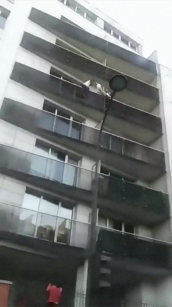 African Immigrant Climbs 4 Storeys With His Bare Hands In Less Than 30 Secs To Save 4-Year-Old Dangling From Balcony African Immigrant Climbs 4 Storeys With His Bare Hands In Less Than 30 Secs To Save 4-Year-Old Dangling From Balcony