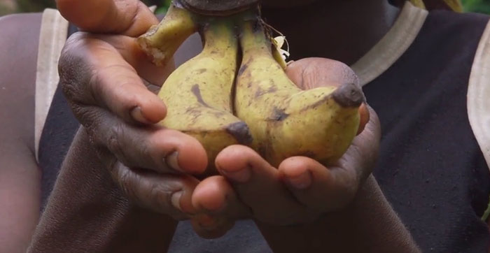UFC Fighter Beat Depression And Addiction By Liberating Slaves In Congo