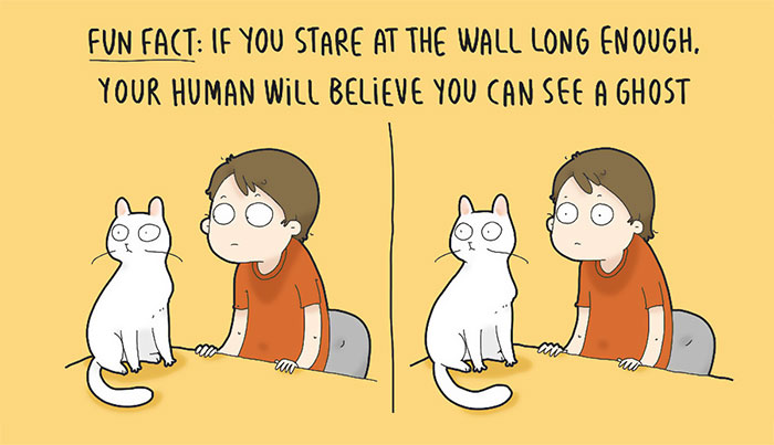 The Reality Of Having A Cat That I Captured In 29 Illustrations (New Pics)