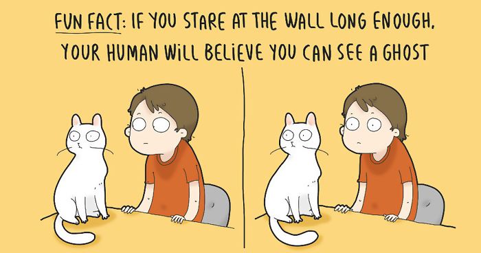 The Reality Of Having A Cat That I Captured In 29 Illustrations (New Pics)