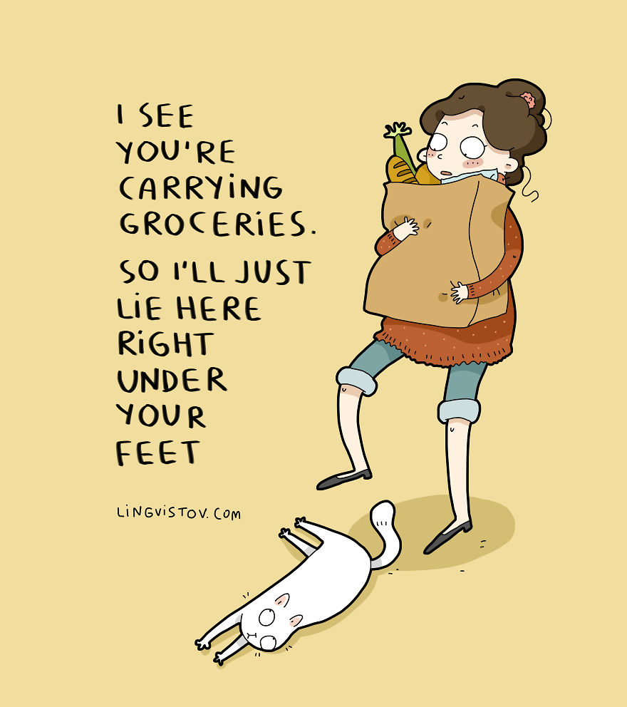 New-Fun-Cat-Illustrations-Lingvistov