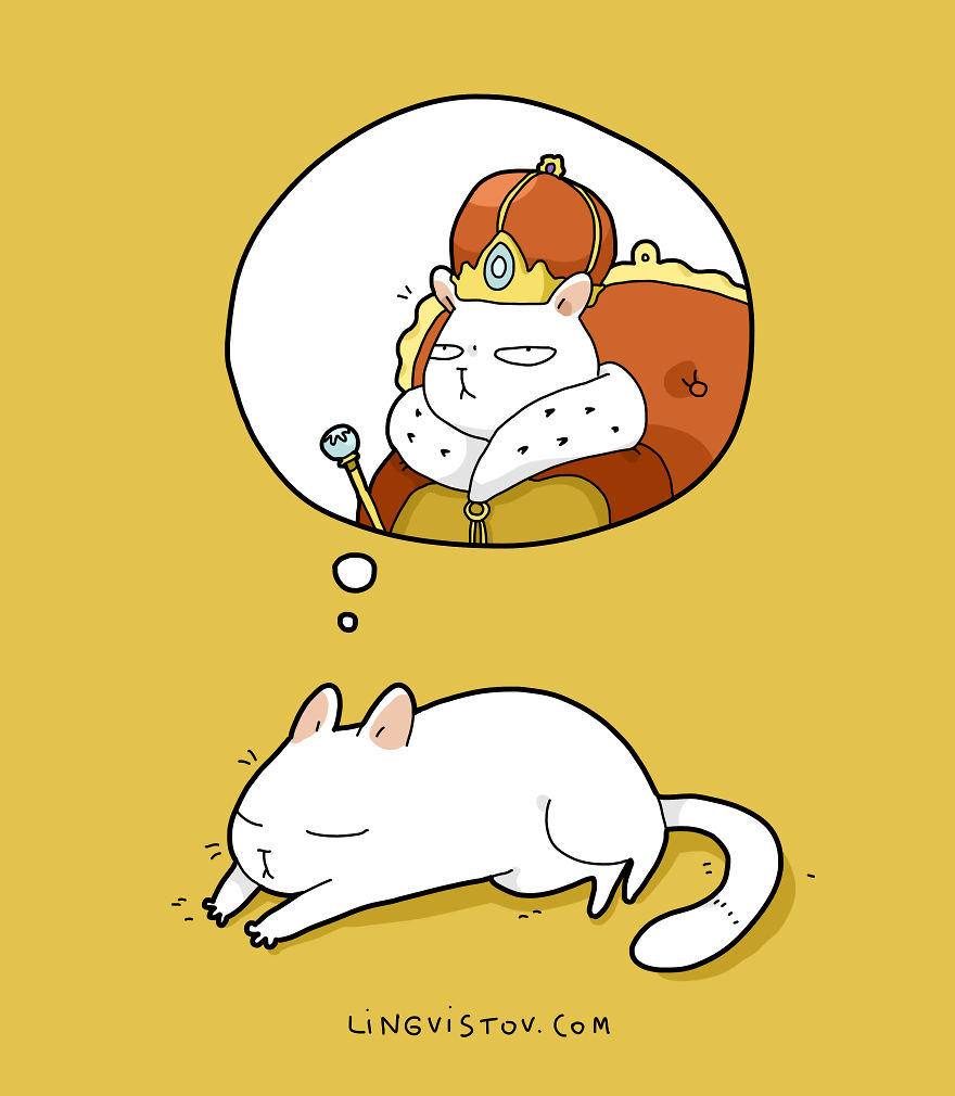 New-Fun-Cat-Illustrations-Lingvistov