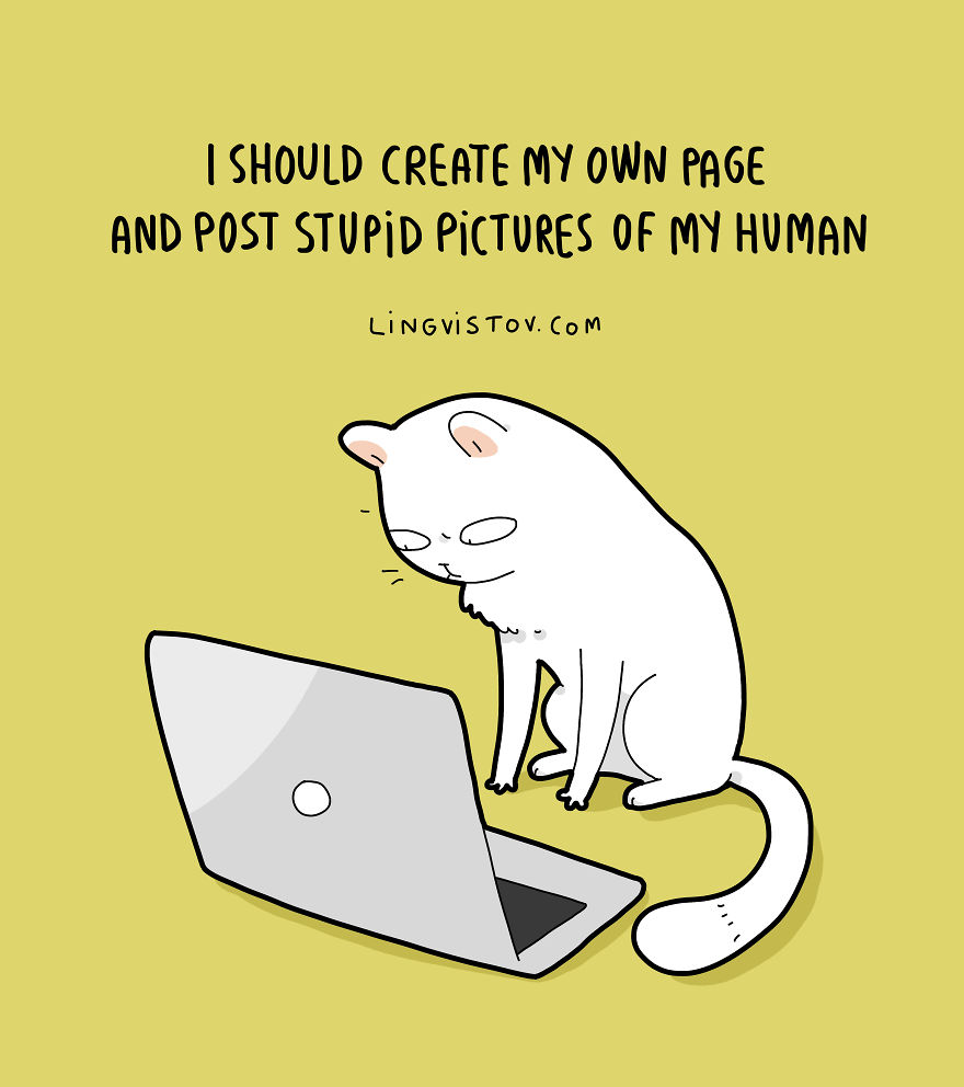 New-Fun-Cat-Illustrations-Lingvistov