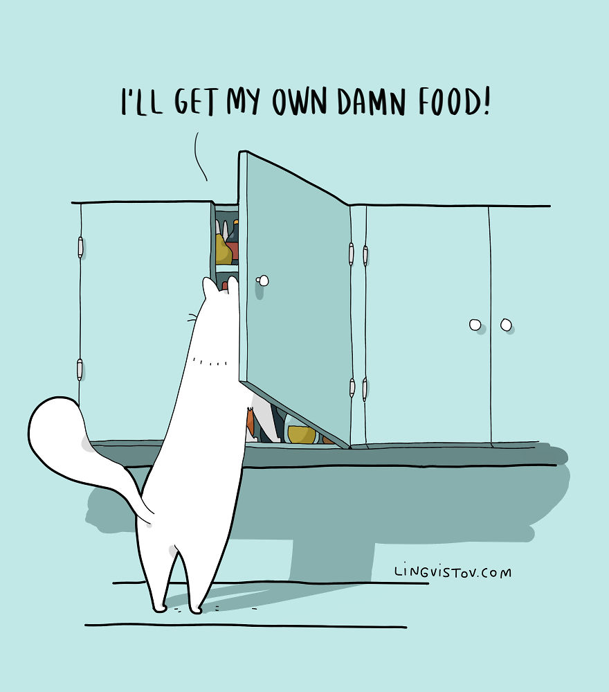 New-Fun-Cat-Illustrations-Lingvistov