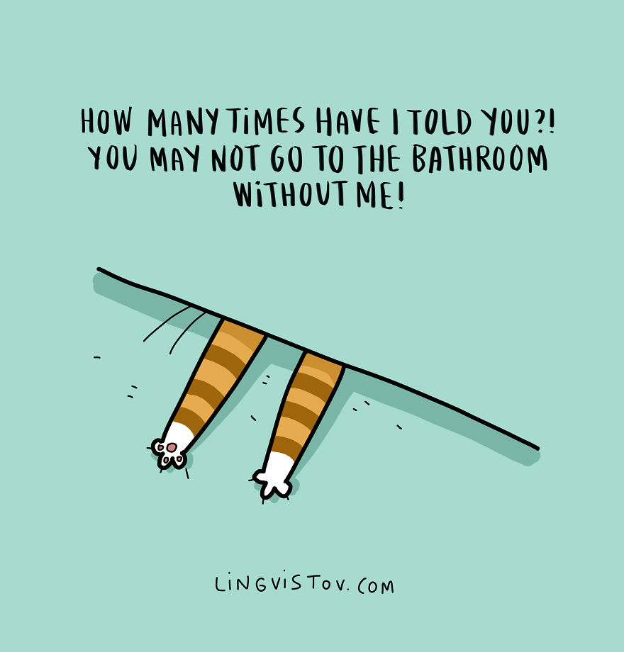 New-Fun-Cat-Illustrations-Lingvistov