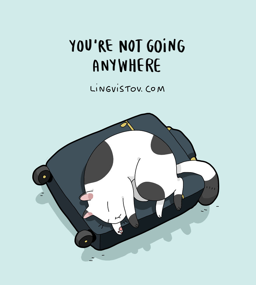 New-Fun-Cat-Illustrations-Lingvistov