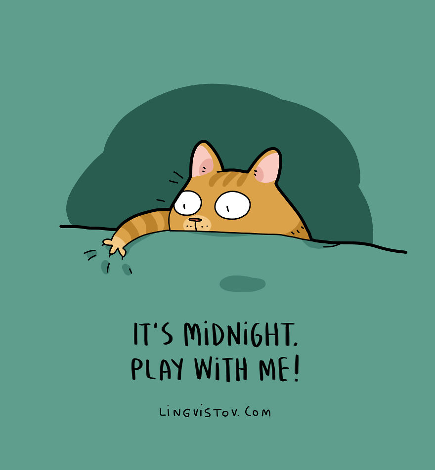New-Fun-Cat-Illustrations-Lingvistov
