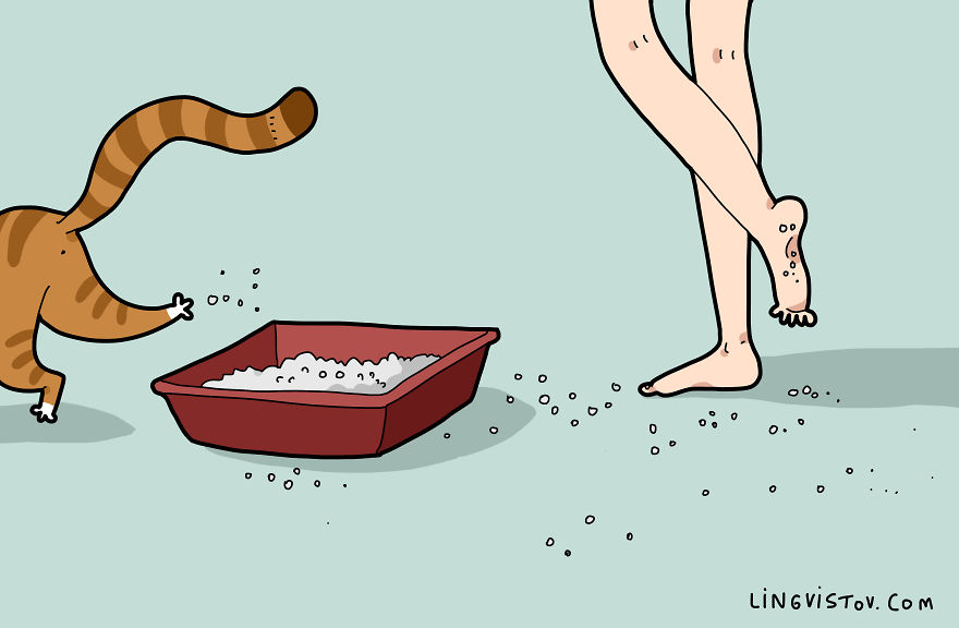 New-Fun-Cat-Illustrations-Lingvistov