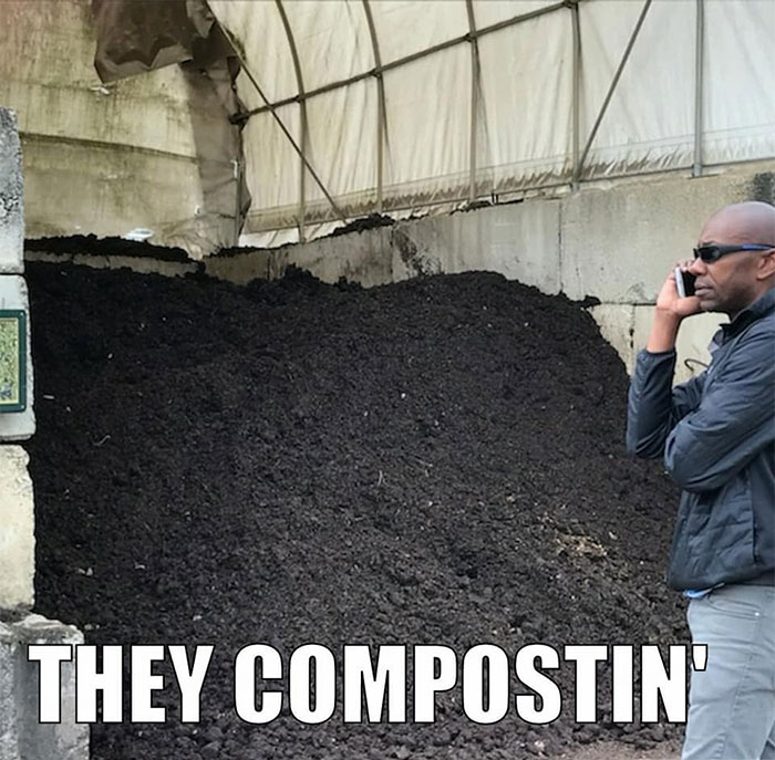 Woman Trolled By Comedian