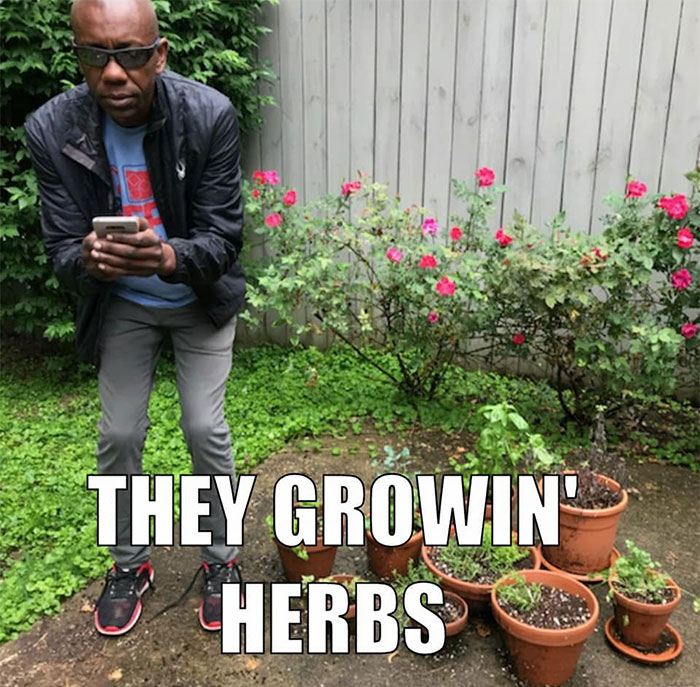 Woman Trolled By Comedian