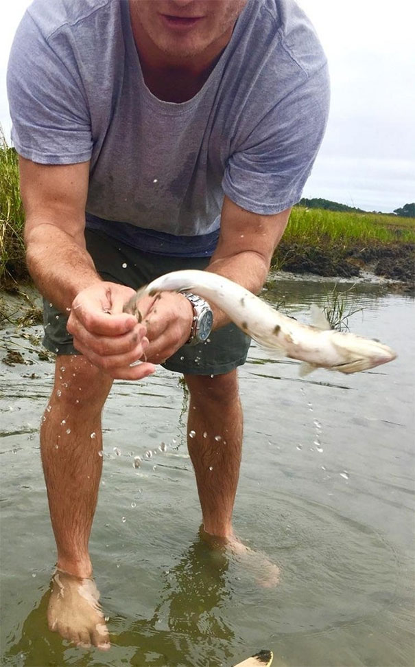 The One That Got Away