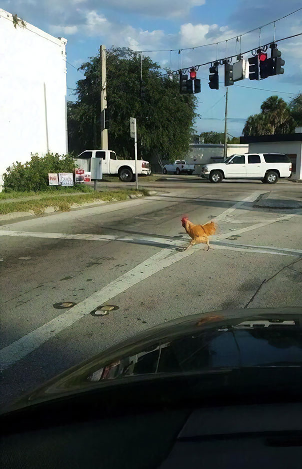 I Have Been Waiting For This Moment My Whole Life