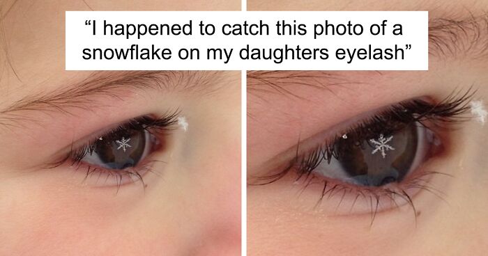 50 Perfectly Timed Pics That Will Make You Look Twice