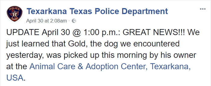 police-officer-vicious-dog-call-american-bully-texas-11