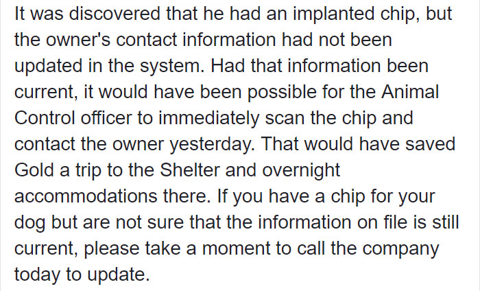 police-officer-vicious-dog-call-american-bully-texas-12 police-officer-vicious-dog-call-american-bully-texas-12