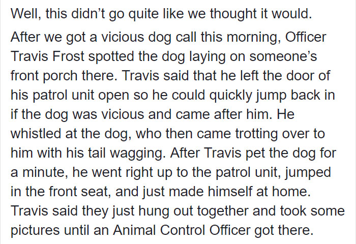 police-officer-vicious-dog-call-american-bully-texas-14 police-officer-vicious-dog-call-american-bully-texas-14